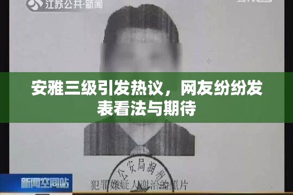 安雅三级引发热议，网友纷纷发表看法与期待