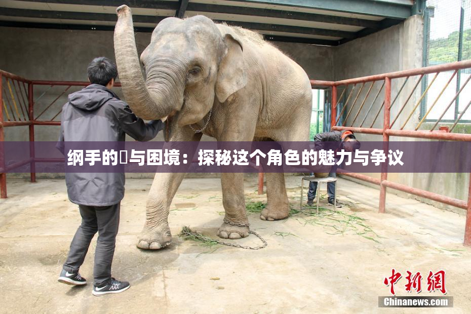 纲手的婬与困境：探秘这个角色的魅力与争议