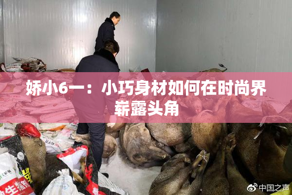 娇小6一：小巧身材如何在时尚界崭露头角