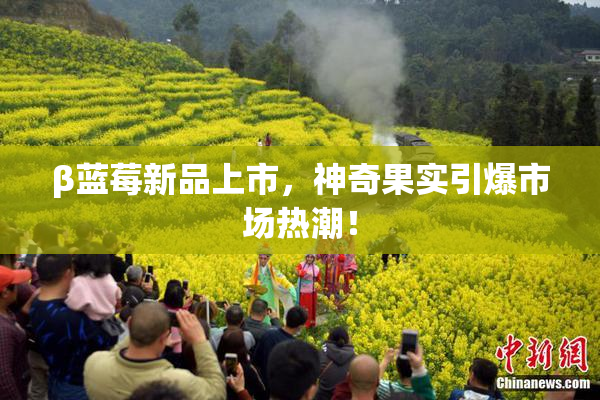 β蓝莓新品上市，神奇果实引爆市场热潮！