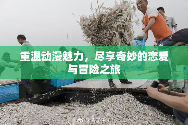 重温动漫魅力，尽享奇妙的恋爱与冒险之旅