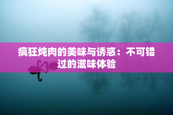 疯狂炖肉的美味与诱惑：不可错过的滋味体验