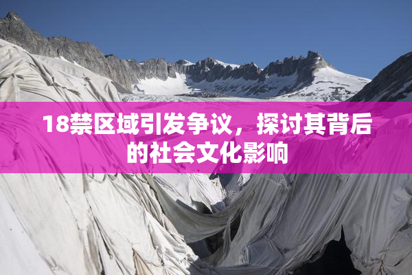 18禁区域引发争议，探讨其背后的社会文化影响