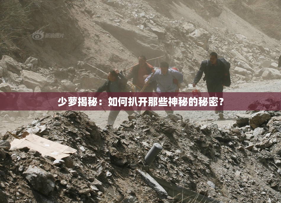 少萝揭秘：如何扒开那些神秘的秘密？