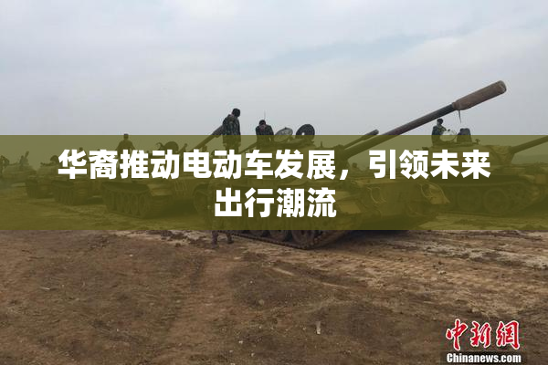 华裔推动电动车发展，引领未来出行潮流