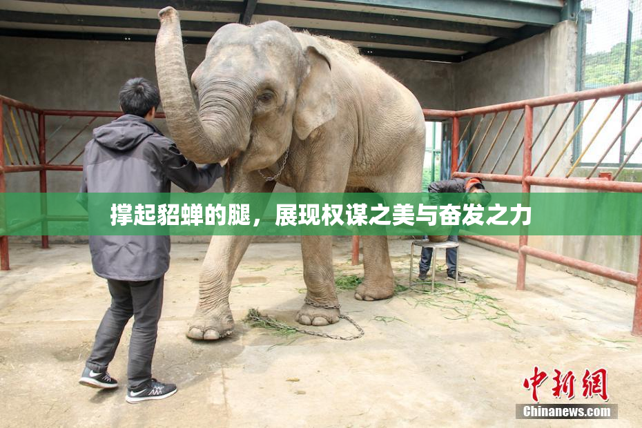 撑起貂蝉的腿，展现权谋之美与奋发之力