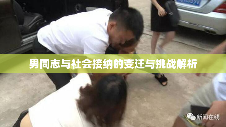 男同志与社会接纳的变迁与挑战解析