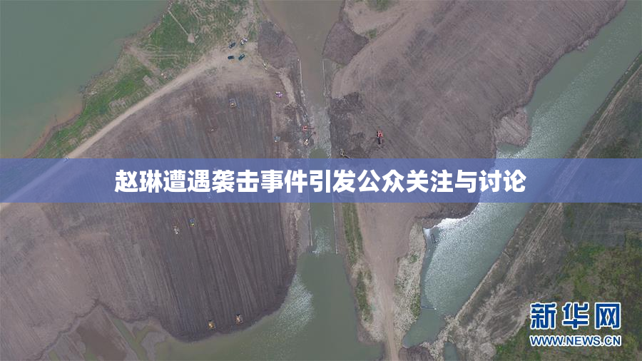 赵琳遭遇袭击事件引发公众关注与讨论