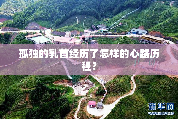 孤独的乳首经历了怎样的心路历程？