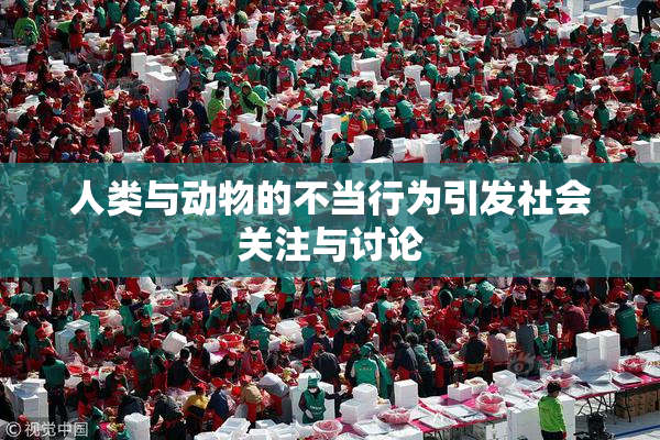 人类与动物的不当行为引发社会关注与讨论