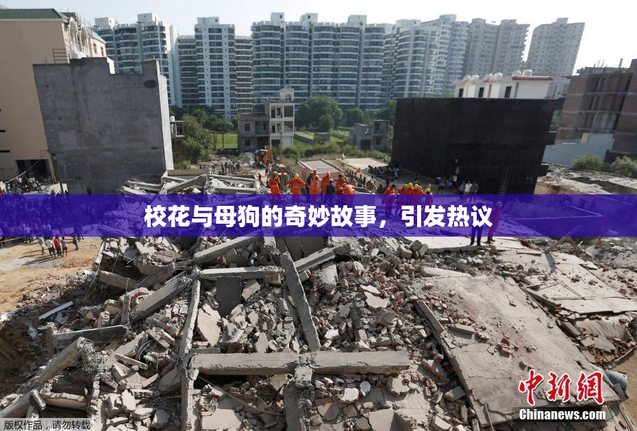校花与母狗的奇妙故事，引发热议