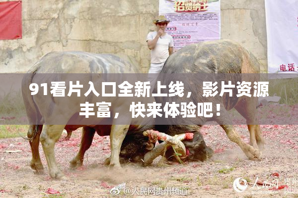 91看片入口全新上线，影片资源丰富，快来体验吧！