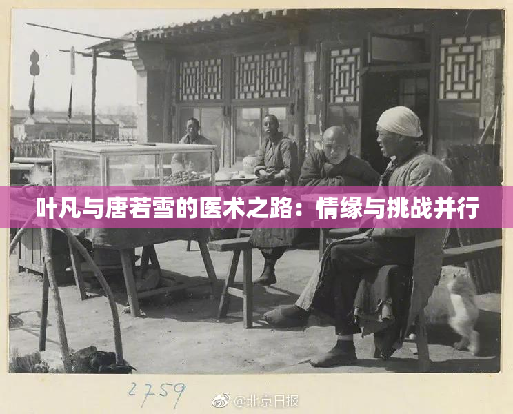 叶凡与唐若雪的医术之路：情缘与挑战并行