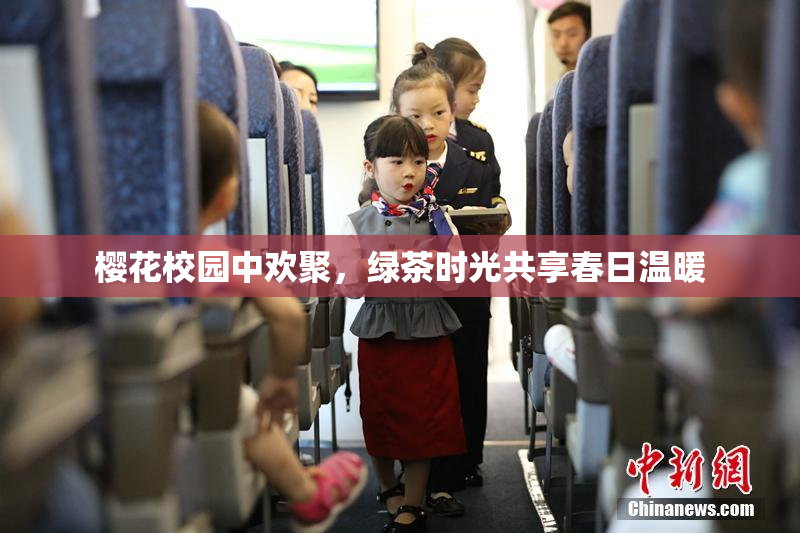 樱花校园中欢聚，绿茶时光共享春日温暖