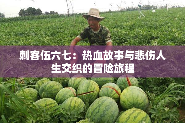 刺客伍六七：热血故事与悲伤人生交织的冒险旅程