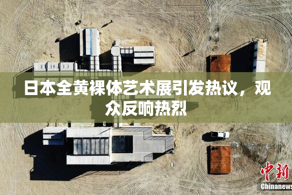 日本全黄裸体艺术展引发热议，观众反响热烈