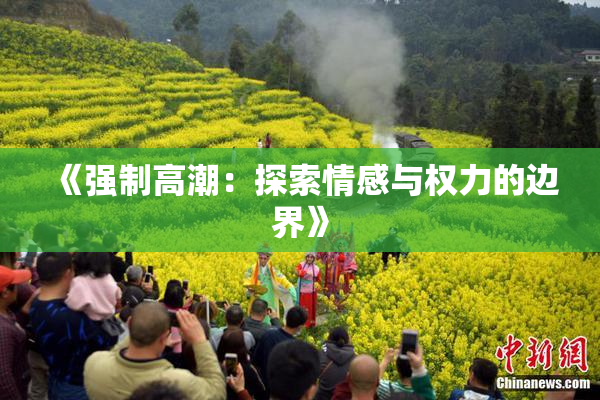 《强制高潮：探索情感与权力的边界》