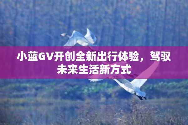 小蓝GV开创全新出行体验，驾驭未来生活新方式