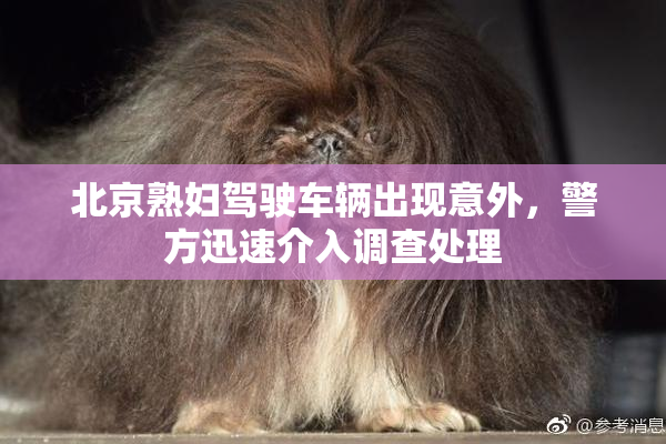北京熟妇驾驶车辆出现意外，警方迅速介入调查处理