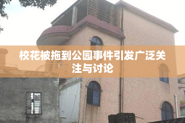 校花被拖到公园事件引发广泛关注与讨论