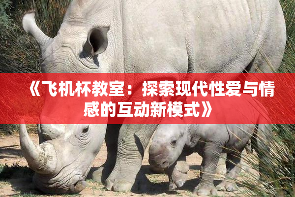 《飞机杯教室：探索现代性爱与情感的互动新模式》