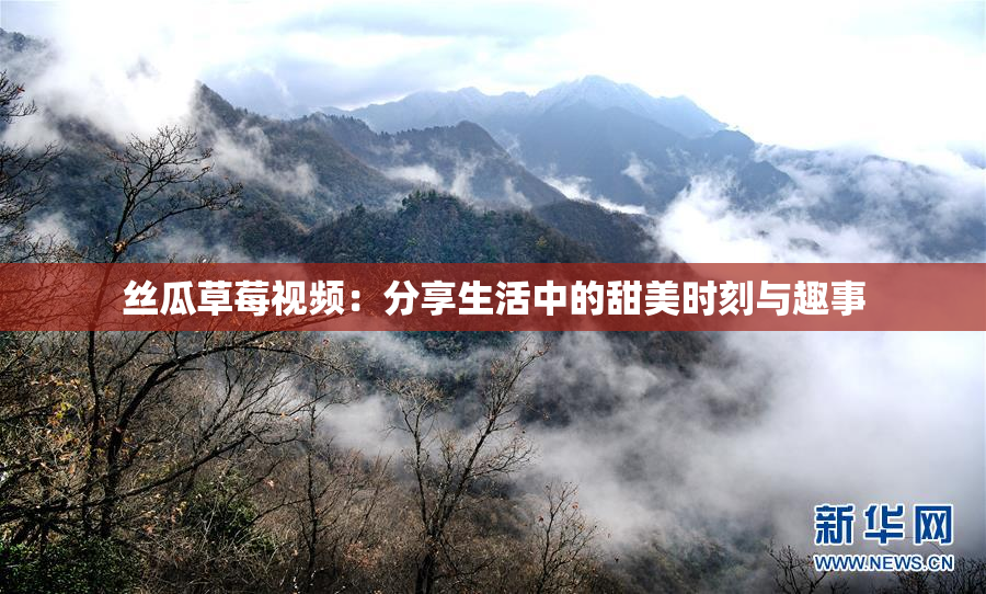 丝瓜草莓视频：分享生活中的甜美时刻与趣事