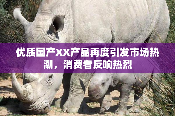 优质国产XX产品再度引发市场热潮，消费者反响热烈