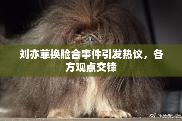 刘亦菲换脸合事件引发热议，各方观点交锋