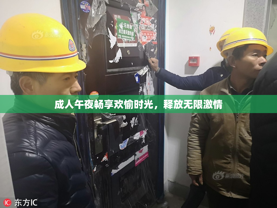 成人午夜畅享欢愉时光，释放无限激情