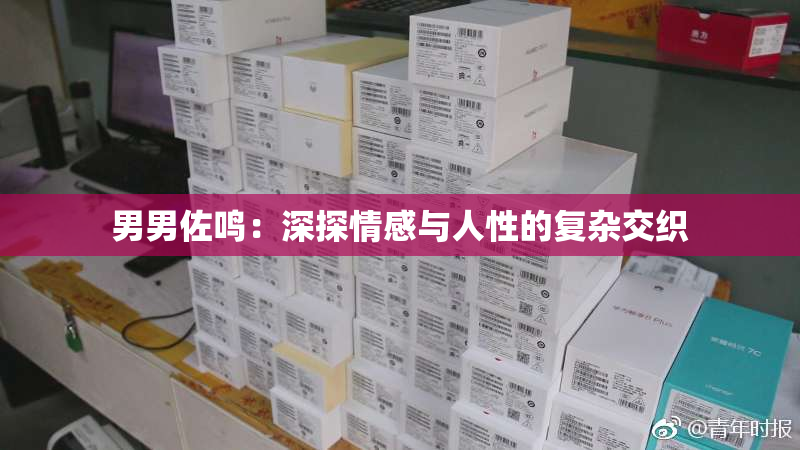男男佐鸣：深探情感与人性的复杂交织