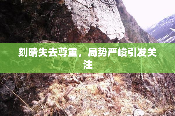 刻晴失去尊重，局势严峻引发关注