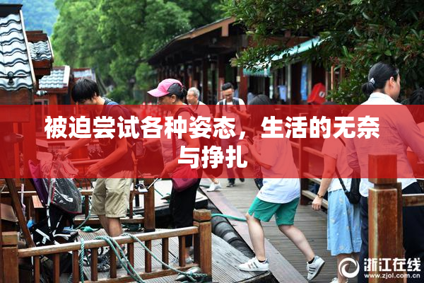 被迫尝试各种姿态，生活的无奈与挣扎
