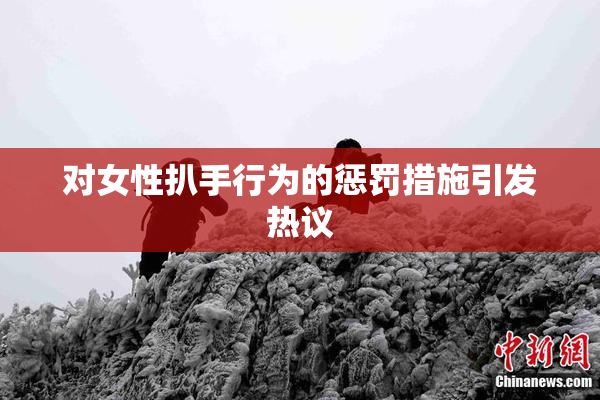 对女性扒手行为的惩罚措施引发热议