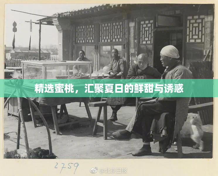 精选蜜桃，汇聚夏日的鲜甜与诱惑