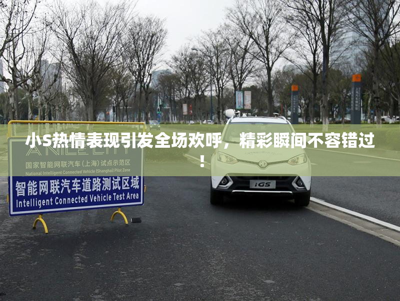 小S热情表现引发全场欢呼，精彩瞬间不容错过！