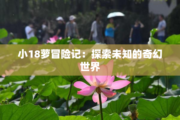 小18萝冒险记：探索未知的奇幻世界