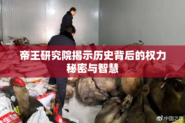 帝王研究院揭示历史背后的权力秘密与智慧