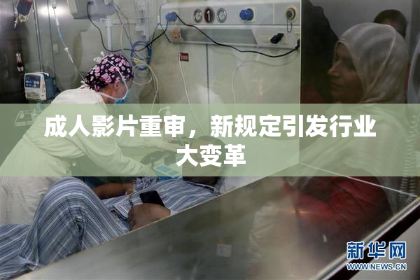 成人影片重审，新规定引发行业大变革