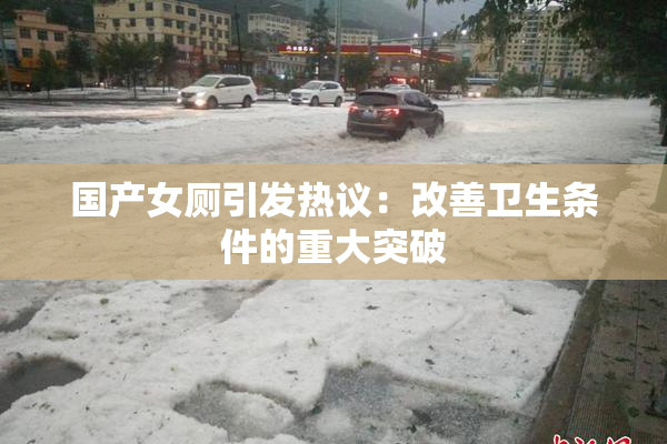 国产女厕引发热议：改善卫生条件的重大突破