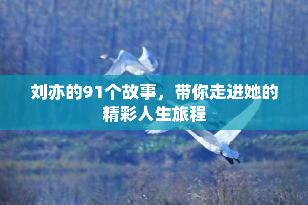 刘亦的91个故事，带你走进她的精彩人生旅程