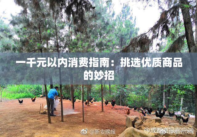 一千元以内消费指南：挑选优质商品的妙招