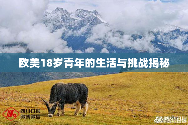 欧美18岁青年的生活与挑战揭秘