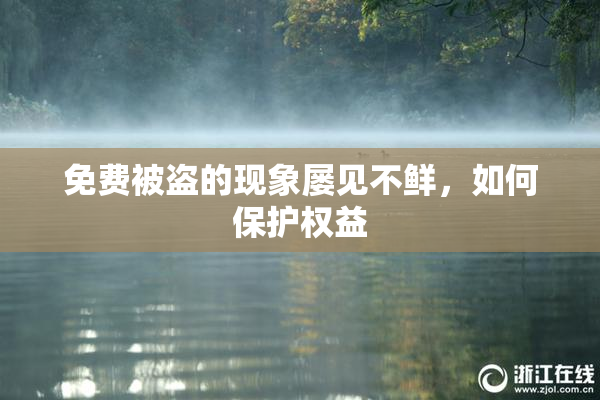 免费被盗的现象屡见不鲜，如何保护权益