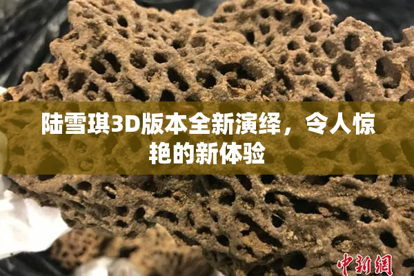 陆雪琪3D版本全新演绎，令人惊艳的新体验
