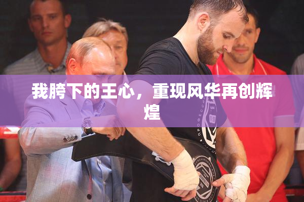 我胯下的王心，重现风华再创辉煌