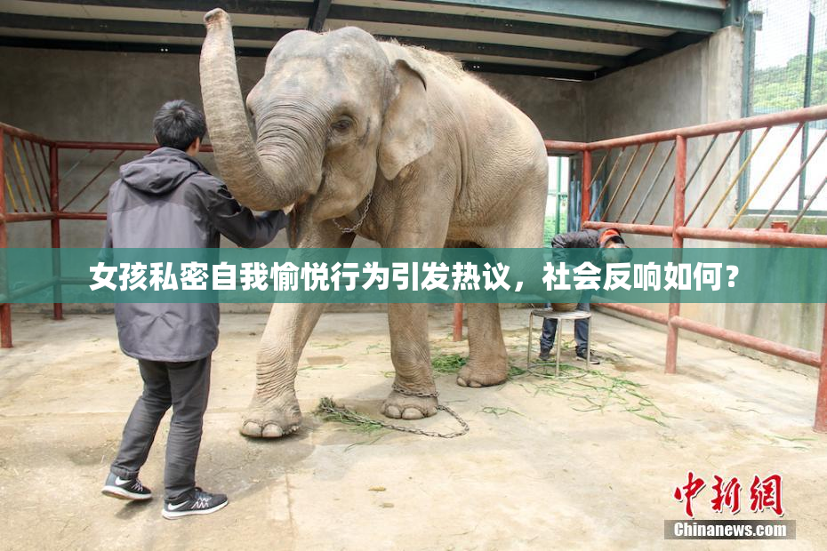 女孩私密自我愉悦行为引发热议，社会反响如何？