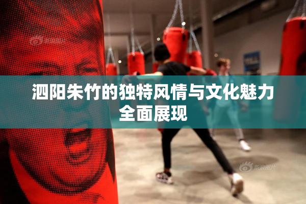 泗阳朱竹的独特风情与文化魅力全面展现