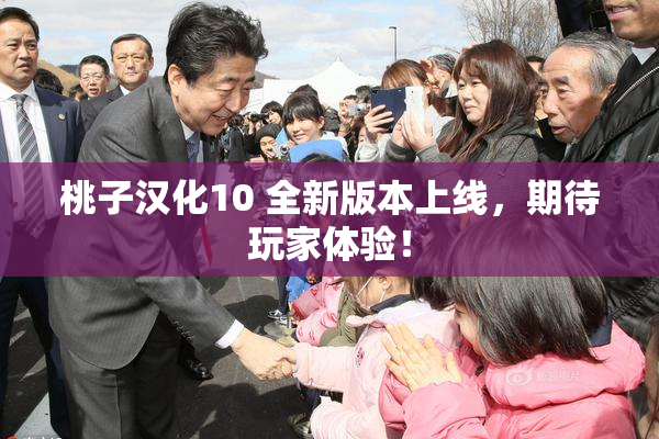 桃子汉化10 全新版本上线，期待玩家体验！