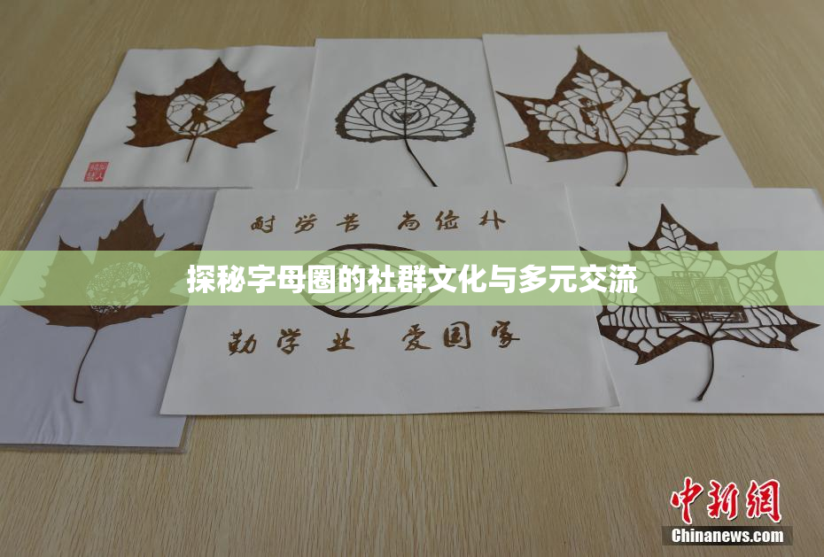 探秘字母圈的社群文化与多元交流