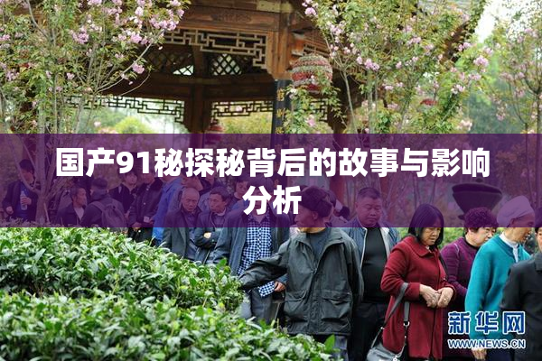 国产91秘探秘背后的故事与影响分析